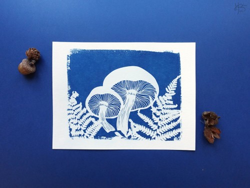 21 2 heloise bossard cyanotype non encadre nume  rote champignoneuros